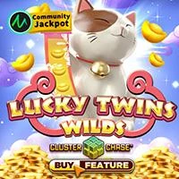 LUCKY TWINS WILDS